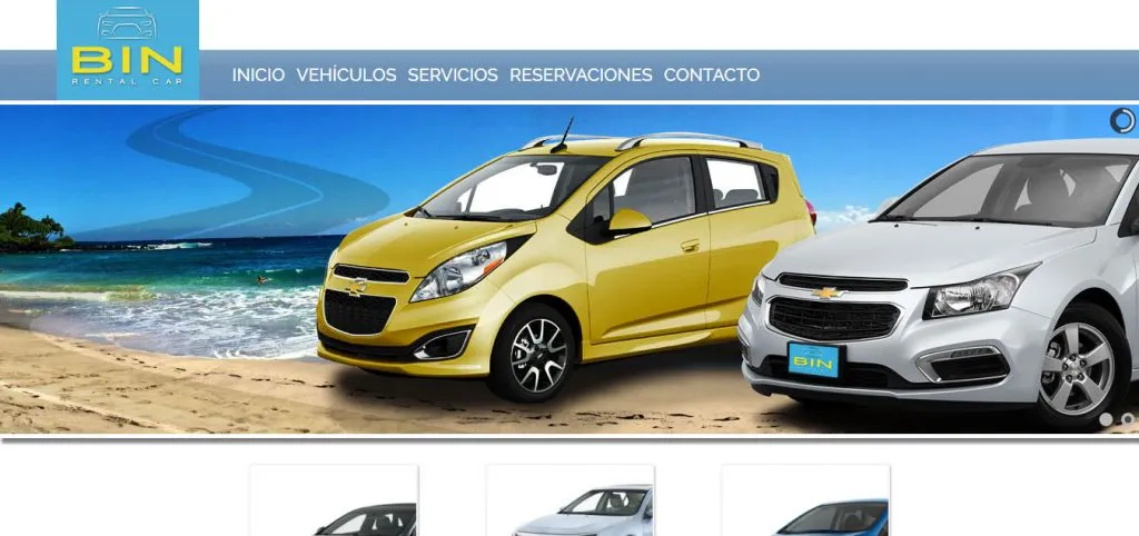 Bin Rental Car