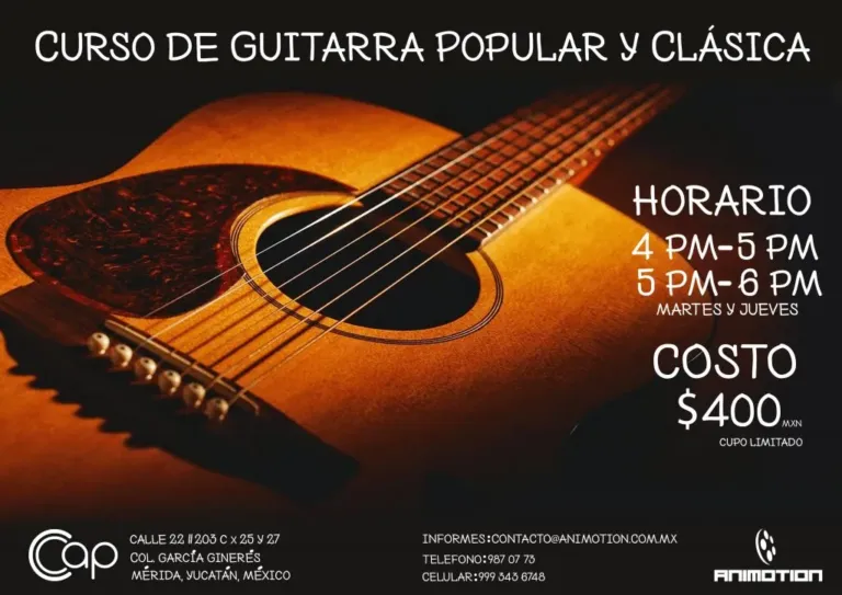 Flyer guitarra