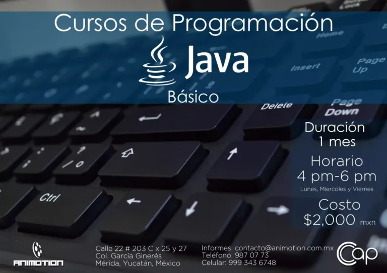 Java