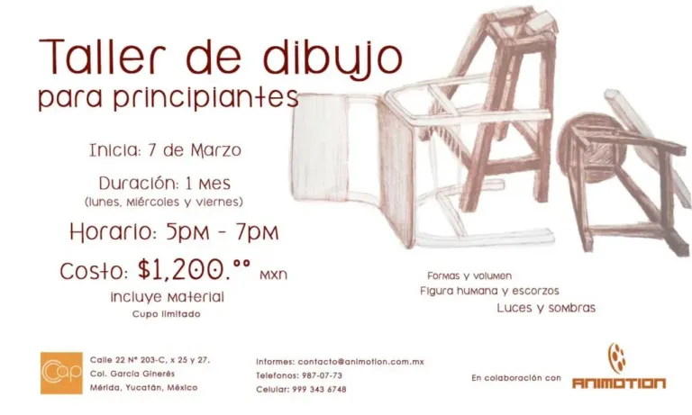 Taller dibujo